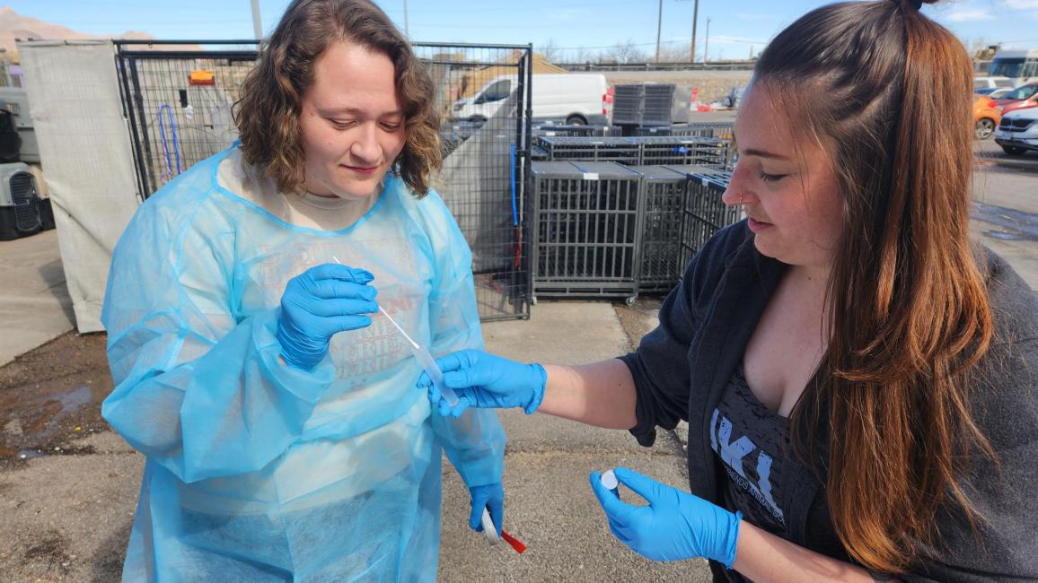 Two people outside wearing protective gear doing a medical procedure with a tube and swqb